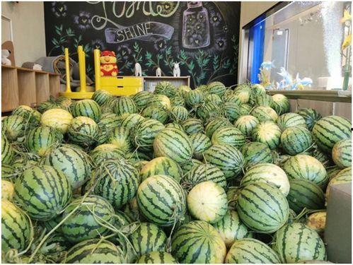 今日吃瓜网,揭秘娱乐圈最新热点事件，带你领略明星幕后故事